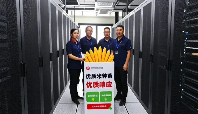 地区差异对种苗供应的影响及应对策略