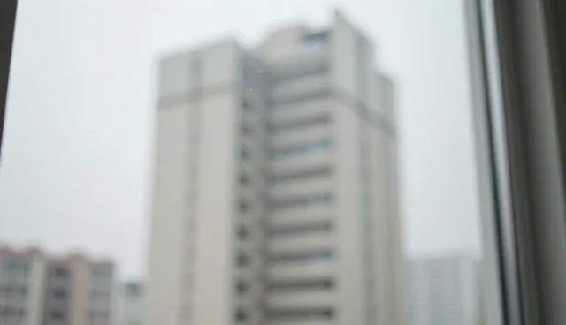 高效有机肥料适用地区及种苗选择依据