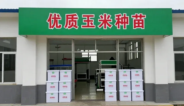 优质玉米种苗未来将在社区服务站中发挥更大作用